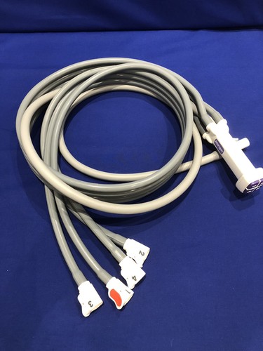 Mangar camel eagle tube - mangar, …tube